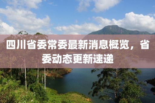 四川省委常委最新消息概覽，省委動(dòng)態(tài)更新速遞