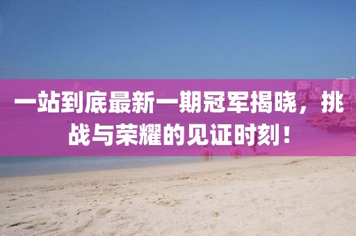 一站到底最新一期冠軍揭曉，挑戰與榮耀的見(jiàn)證時(shí)刻！