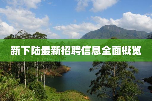 新下陸最新招聘信息全面概覽