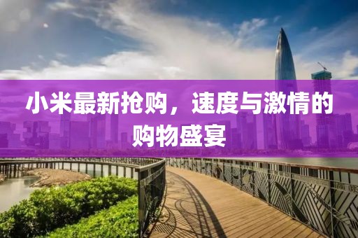 小米最新?lián)屬?，速度與激情的購物盛宴