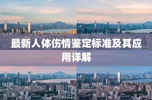 最新人體傷情鑒定標準及其應用詳解