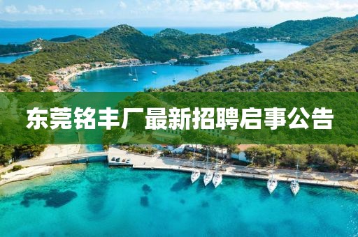 東莞銘豐廠(chǎng)最新招聘啟事公告
