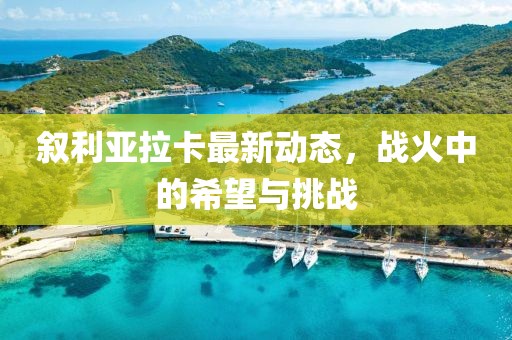 敘利亞拉卡最新動(dòng)態(tài)，戰火中的希望與挑戰