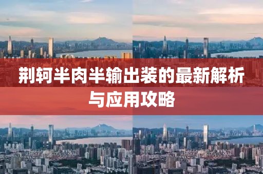 荊軻半肉半輸出裝的最新解析與應用攻略