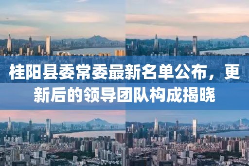 桂陽(yáng)縣委常委最新名單公布，更新后的領(lǐng)導團隊構成揭曉