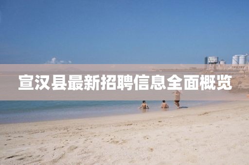 宣漢縣最新招聘信息全面概覽