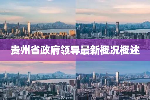 貴州省政府領(lǐng)導最新概況概述