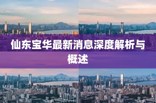仙東寶華最新消息深度解析與概述