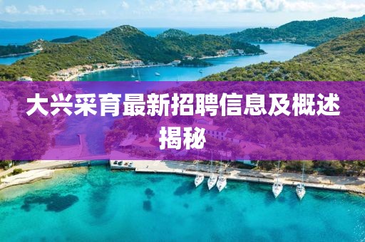大興采育最新招聘信息及概述揭秘