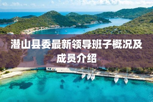 潛山縣委最新領(lǐng)導班子概況及成員介紹
