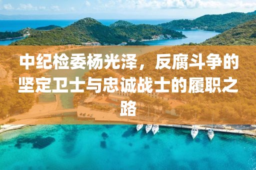 中紀檢委楊光澤，反腐斗爭的堅定衛士與忠誠戰士的履職之路
