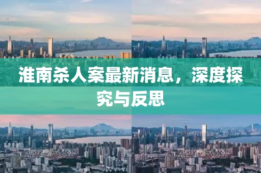 淮南殺人案最新消息，深度探究與反思