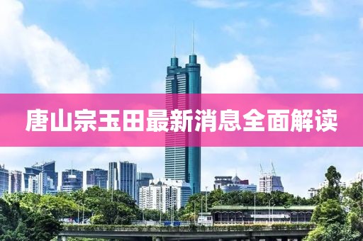 唐山宗玉田最新消息全面解讀