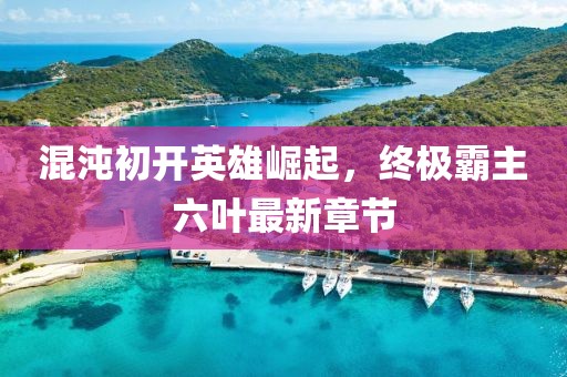 混沌初開(kāi)英雄崛起，終極霸主六葉最新章節