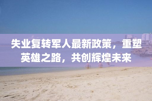 失業(yè)復轉軍人最新政策，重塑英雄之路，共創(chuàng  )輝煌未來(lái)