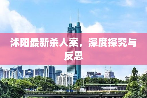沭陽(yáng)最新殺人案，深度探究與反思