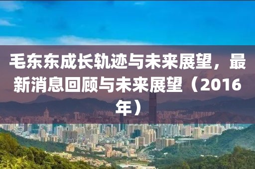 毛東東成長(cháng)軌跡與未來(lái)展望，最新消息回顧與未來(lái)展望（2016年）
