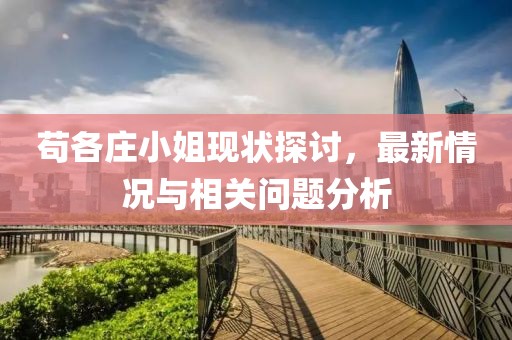 茍各莊小姐現狀探討，最新情況與相關(guān)問(wèn)題分析