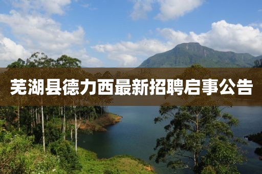 蕪湖縣德力西最新招聘啟事公告