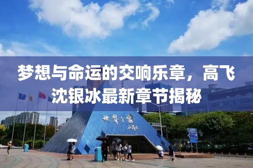 夢(mèng)想與命運的交響樂(lè )章，高飛沈銀冰最新章節揭秘