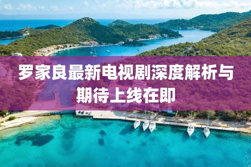 羅家良最新電視劇深度解析與期待上線(xiàn)在即
