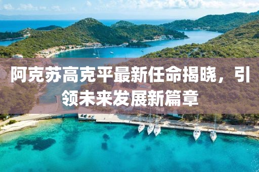 阿克蘇高克平最新任命揭曉，引領(lǐng)未來(lái)發(fā)展新篇章