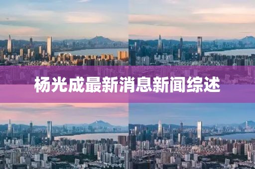 楊光成最新消息新聞綜述
