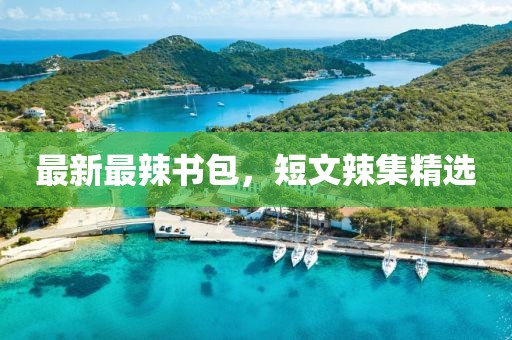 最新最辣書(shū)包，短文辣集精選