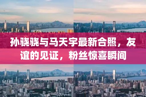 孫驍驍與馬天宇最新合照，友誼的見(jiàn)證，粉絲驚喜瞬間