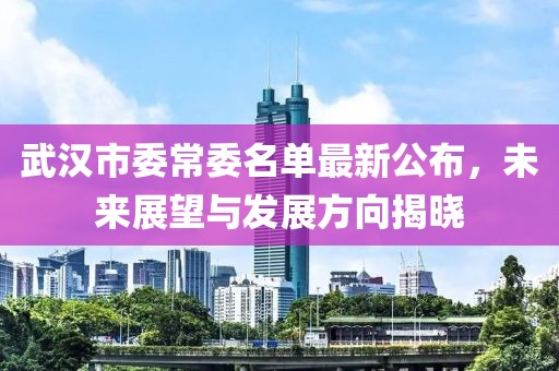 武漢市委常委名單最新公布，未來(lái)展望與發(fā)展方向揭曉