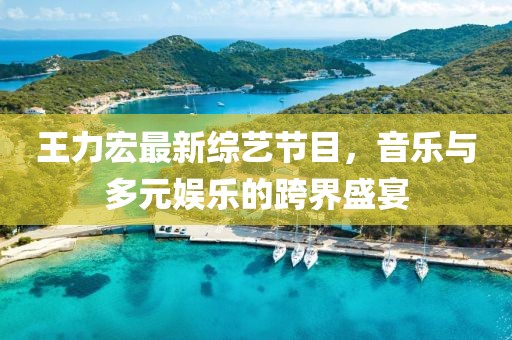王力宏最新綜藝節目，音樂(lè )與多元娛樂(lè )的跨界盛宴