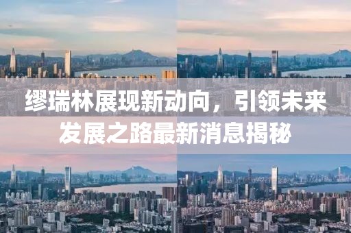 繆瑞林展現新動(dòng)向，引領(lǐng)未來(lái)發(fā)展之路最新消息揭秘