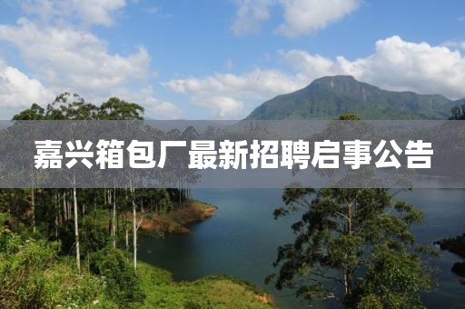 幾番春暮 第19頁(yè)