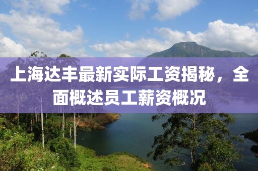 上海達豐最新實(shí)際工資揭秘，全面概述員工薪資概況