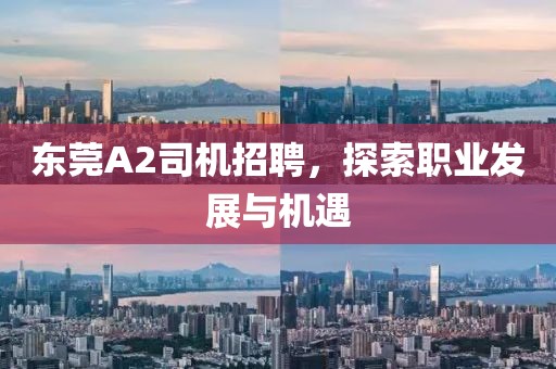 東莞A2司機招聘，探索職業(yè)發(fā)展與機遇