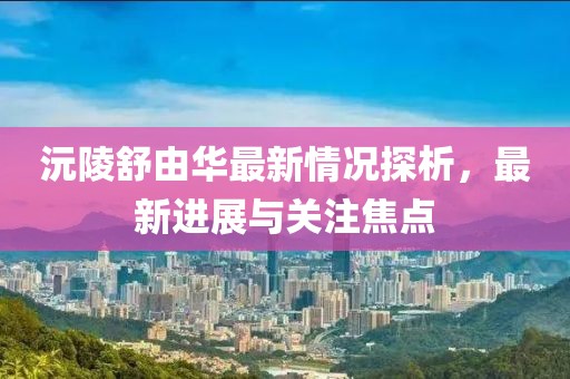 沅陵舒由華最新情況探析，最新進(jìn)展與關(guān)注焦點(diǎn)