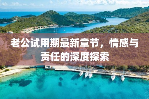 老公試用期最新章節，情感與責任的深度探索
