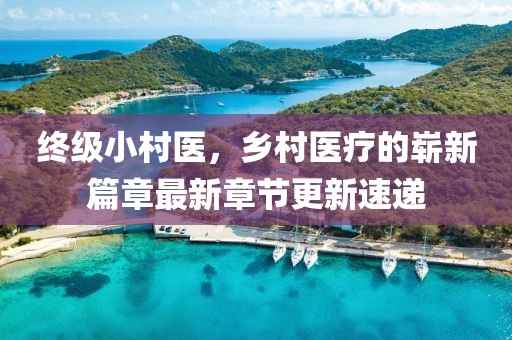 終級小村醫，鄉村醫療的嶄新篇章最新章節更新速遞