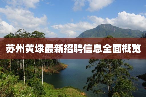 蘇州黃埭最新招聘信息全面概覽