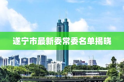 遂寧市最新委常委名單揭曉