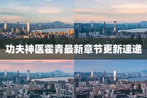 功夫神醫霍青最新章節更新速遞