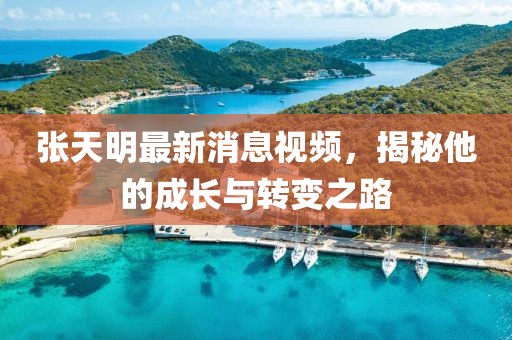 張天明最新消息視頻，揭秘他的成長(cháng)與轉變之路