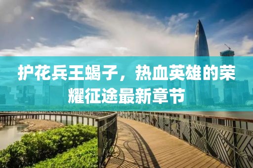 護花兵王蝎子，熱血英雄的榮耀征途最新章節