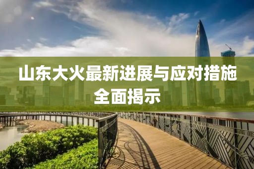 山東大火最新進(jìn)展與應對措施全面揭示