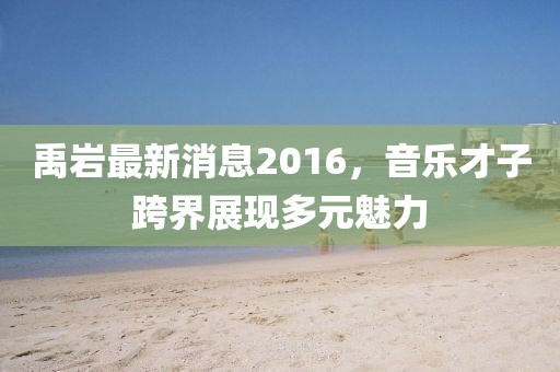 禹巖最新消息2016，音樂(lè )才子跨界展現多元魅力