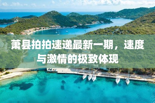 蕭縣拍拍速遞最新一期，速度與激情的極致體現