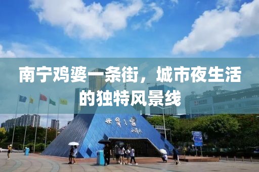 南寧雞婆一條街，城市夜生活的獨特風(fēng)景線(xiàn)
