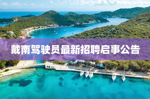 戴南駕駛員最新招聘啟事公告