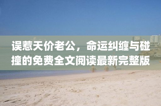 誤惹天價(jià)老公，命運糾纏與碰撞的免費全文閱讀最新完整版