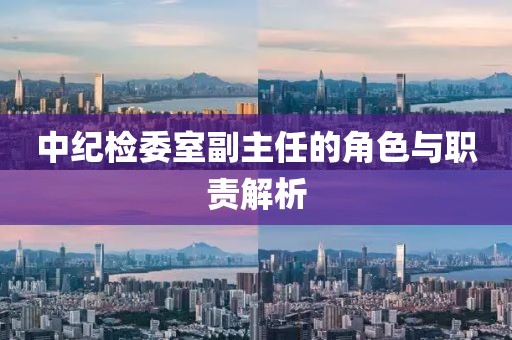 中紀檢委室副主任的角色與職責解析